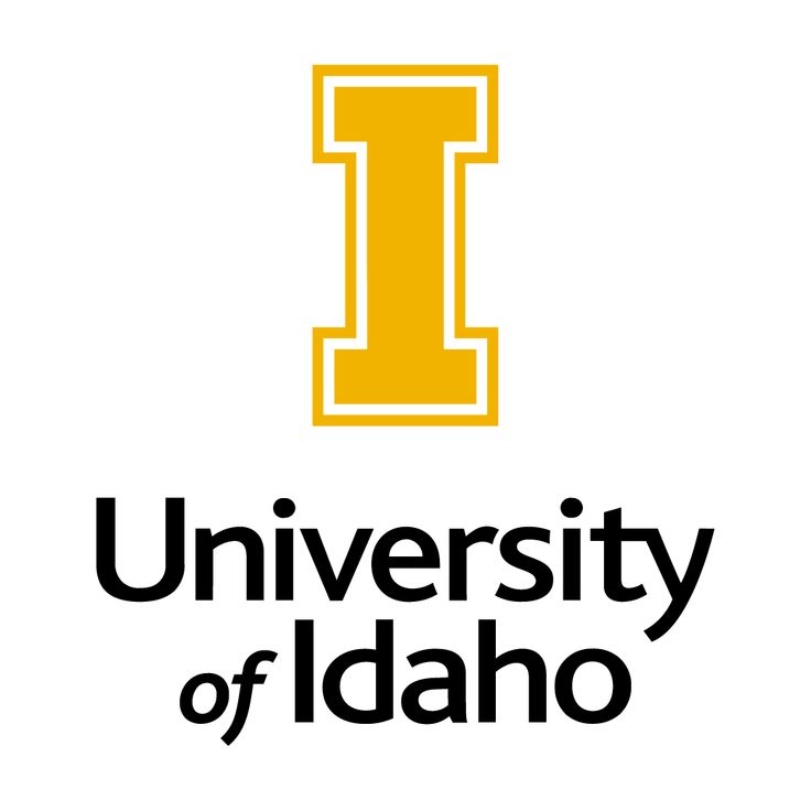 University